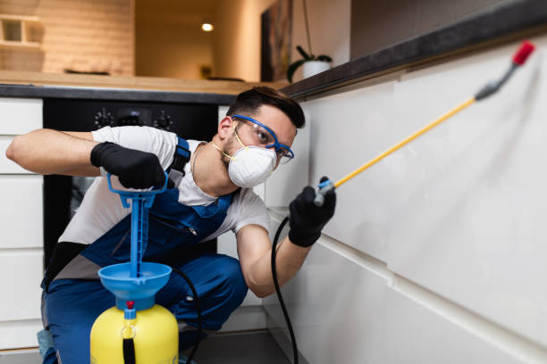 Best Pest Inspection Near Me  in Killian, LA