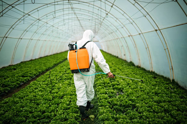 Best Pest Control for Homes  in Killian, LA