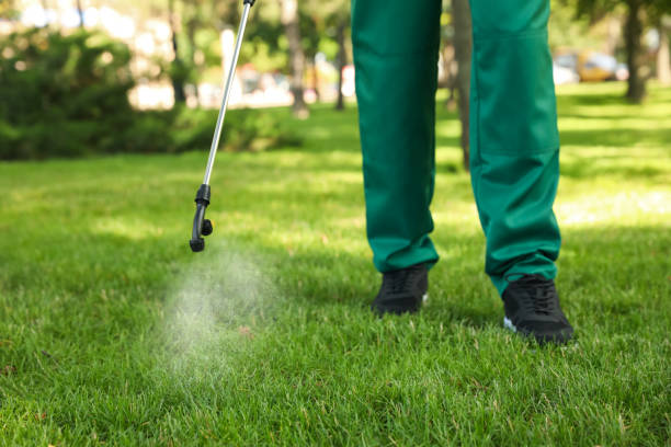 Best Pest Removal Services  in Killian, LA