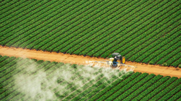 Best Local Pest Control Services  in Killian, LA